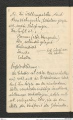 Seite 73, Tagebuch "Umgebung von Krems | Scheibenhof | Stein-Neol. (hinten) (NHMW-PRAE-BBB-39)